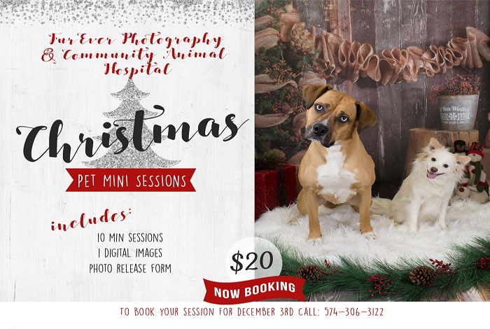 christmas-pet-photos-ad